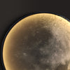 COSMOS MOON L