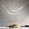 COLIBRI