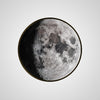 COSMOS MOON L